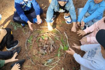 Sorties récréatives et pédagogiques en milieu naturel