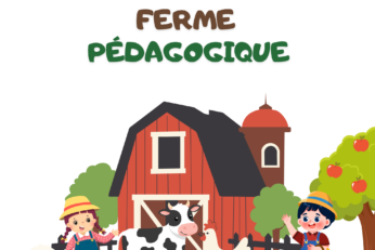 Sortie récréative à la ferme pédagogique Tazota